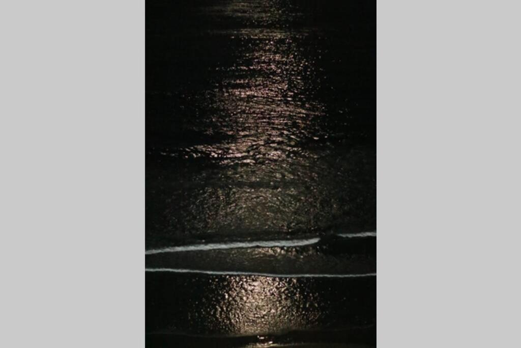 Paraiso En Rosarito A Pie De La Playa Lejlighed Eksteriør billede